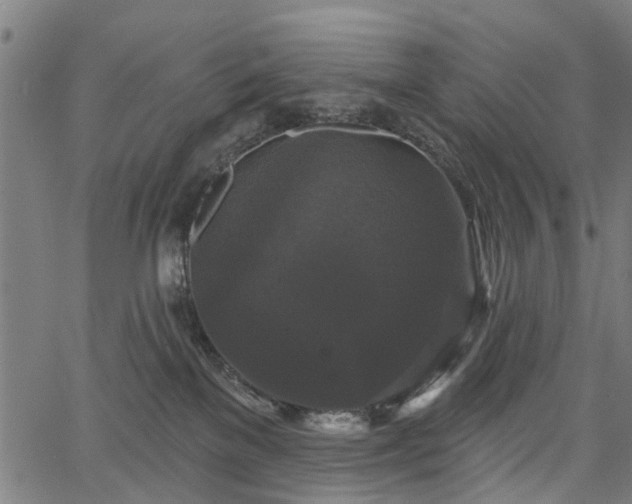 X0000067390137200604031042