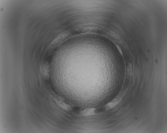 X0000067390138200604031042