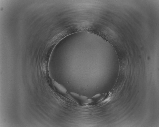 X0000067390139200604031042