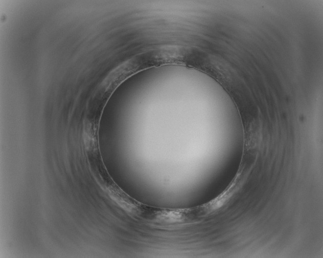 X0000067390140200604031042