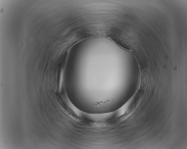 X0000067390141200604031042