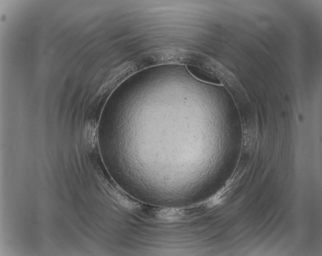 X0000067390142200604031042