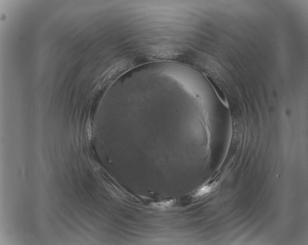 X0000067390143200604031042