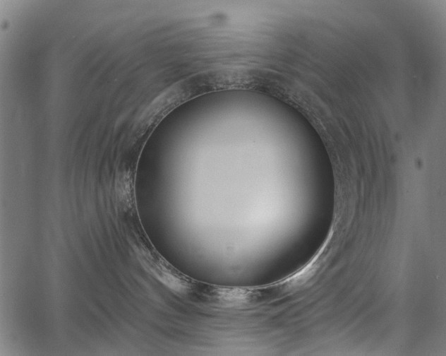 X0000067390144200604031042