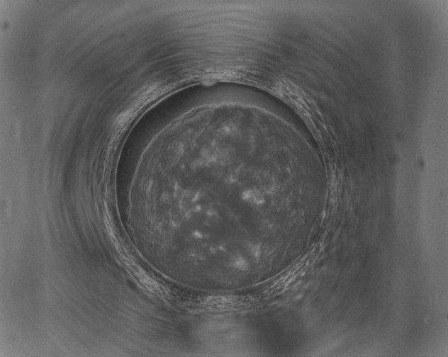 X0000067390145200604031041