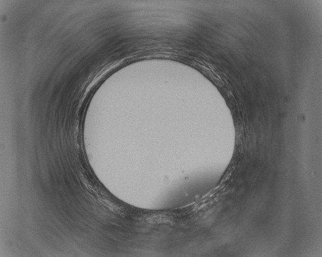 X0000067390146200604031041