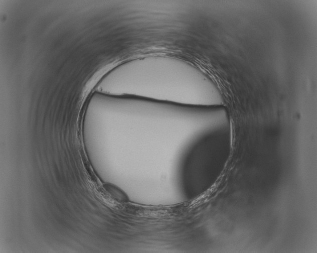 X0000067390147200604031041