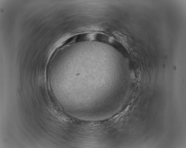 X0000067390148200604031041