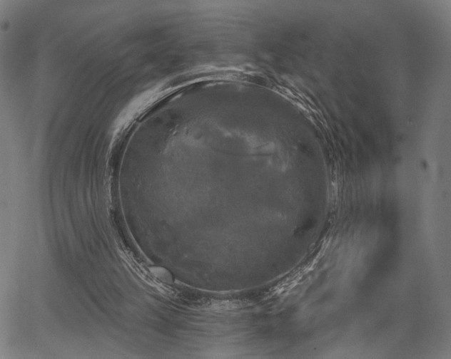 X0000067390149200604031041