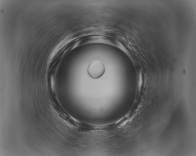 X0000067390150200604031041