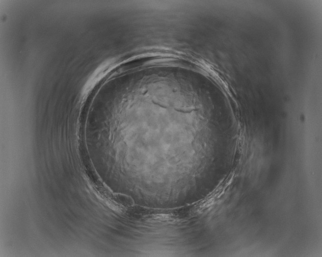 X0000067390151200604031041