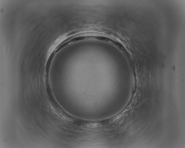 X0000067390152200604031041