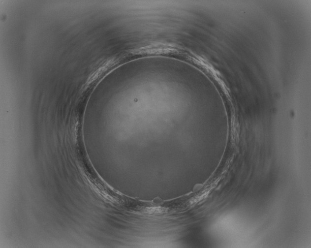 X0000067390153200604031041