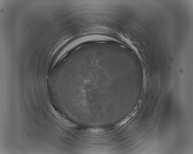 X0000067390154200604031041