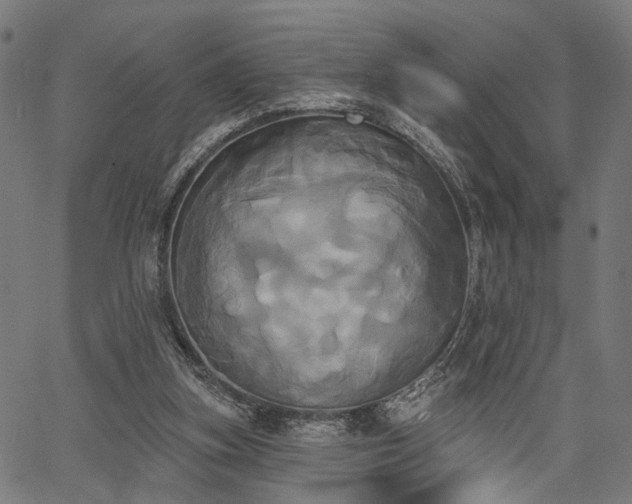 X0000067390155200604031041