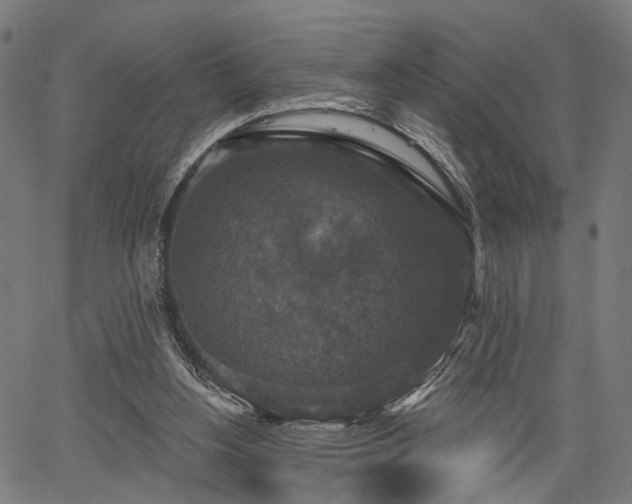 X0000067390156200604031041