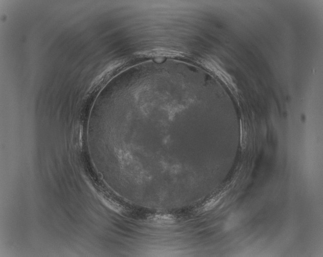 X0000067390157200604031041