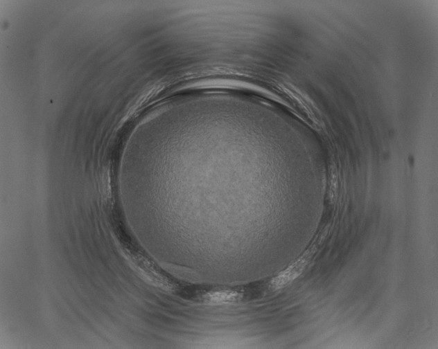 X0000067390158200604031041