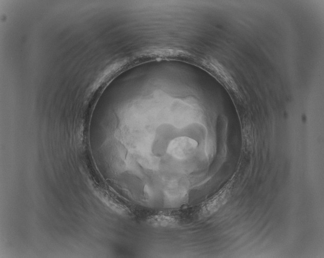 X0000067390159200604031041