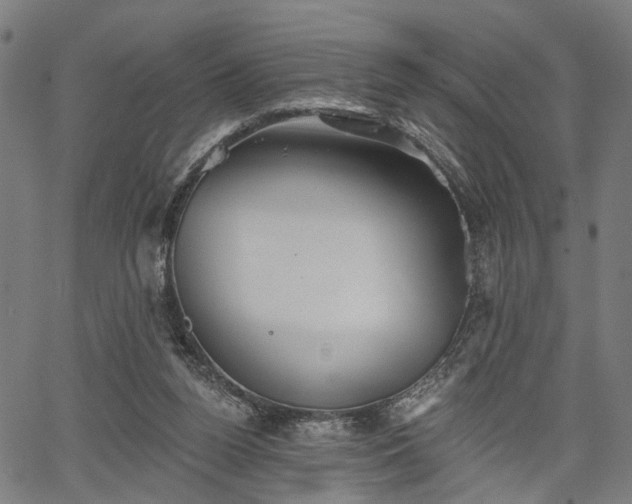 X0000067390160200604031041