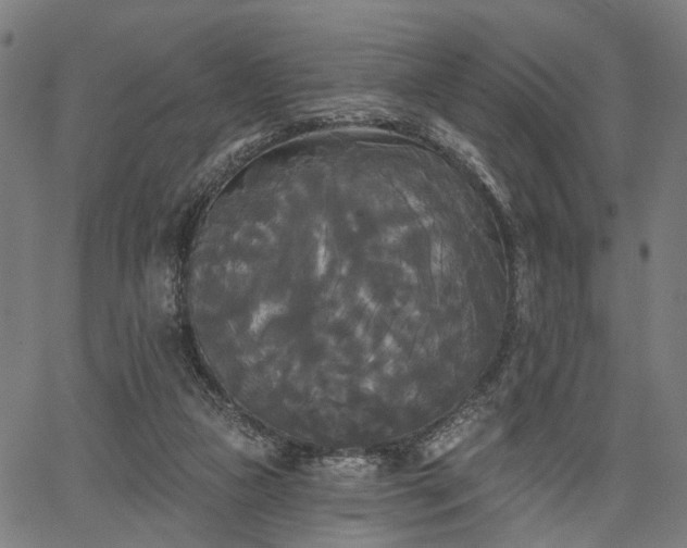 X0000067390161200604031041