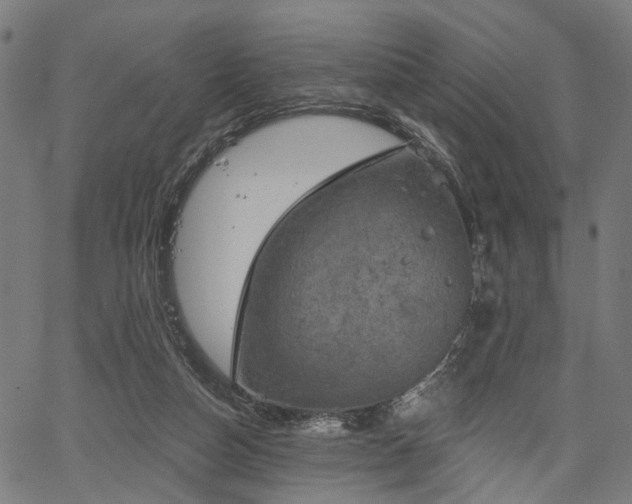 X0000067390162200604031041