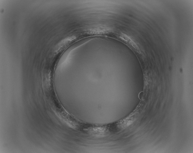 X0000067390163200604031041