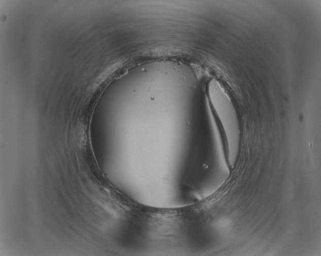 X0000067390164200604031041