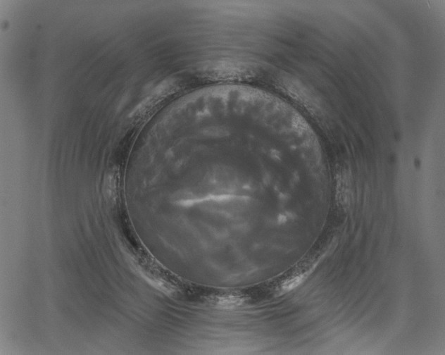 X0000067390165200604031041