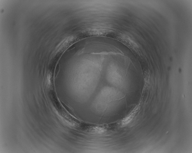 X0000067390166200604031041