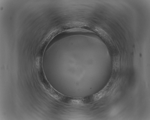 X0000067390167200604031041