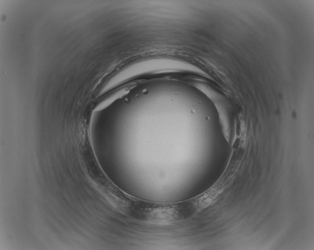 X0000067390168200604031041