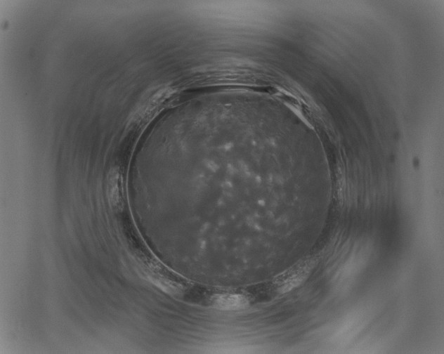 X0000067390169200604031041