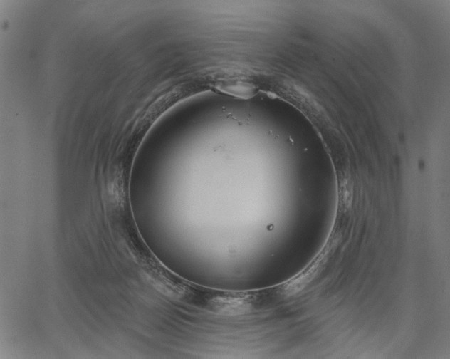 X0000067390170200604031041