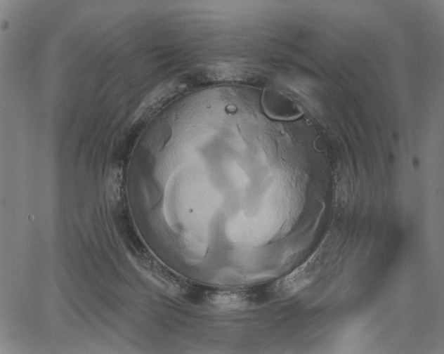 X0000067390171200604031041