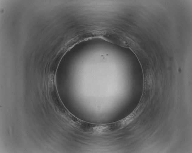 X0000067390172200604031042