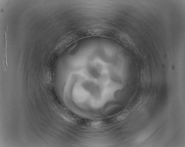 X0000067390173200604031042