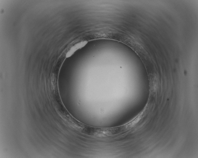 X0000067390174200604031042