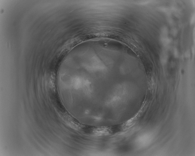 X0000067390175200604031042