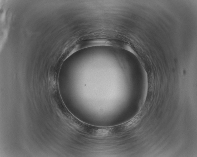 X0000067390176200604031042