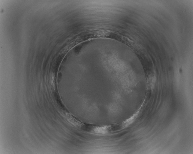 X0000067390178200604031042