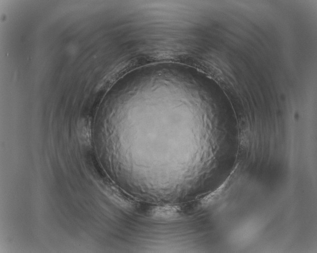 X0000067390179200604031042