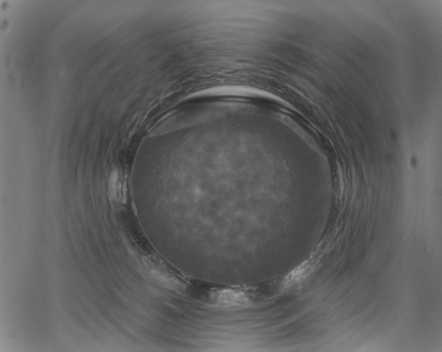 X0000067390180200604031042