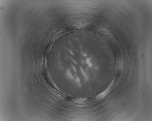 X0000067390182200604031042