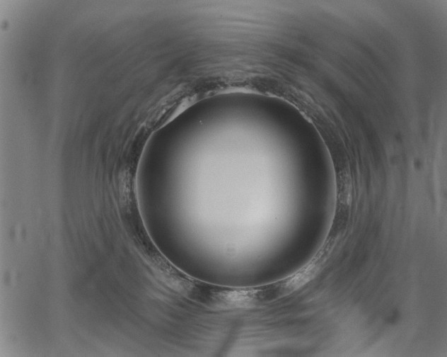 X0000067390184200604031042