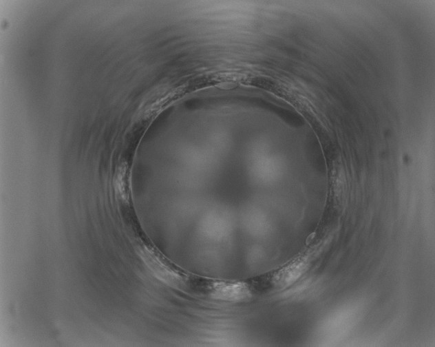 X0000067390185200604031042