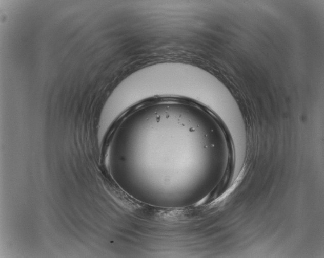 X0000067390186200604031042