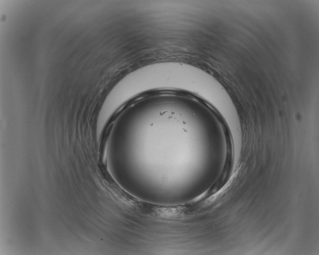 X0000067390187200604031042