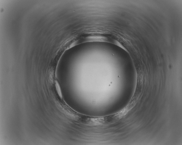 X0000067390188200604031042