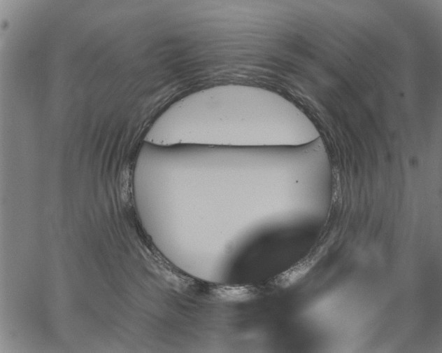 X0000067390189200604031042